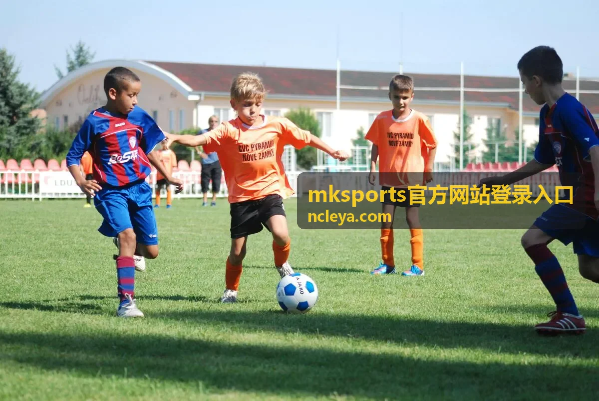 mksports官方网站登录入口 移动端登录通道界面示意