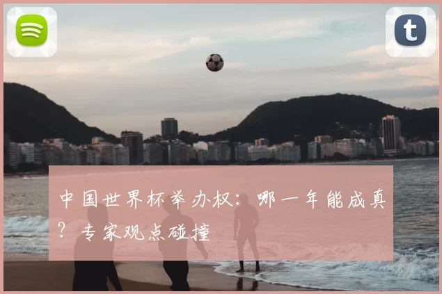 中国世界杯举办权：哪一年能成真？专家观点碰撞