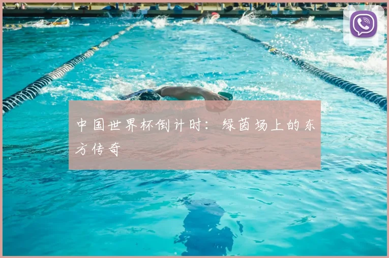中国世界杯倒计时：绿茵场上的东方传奇