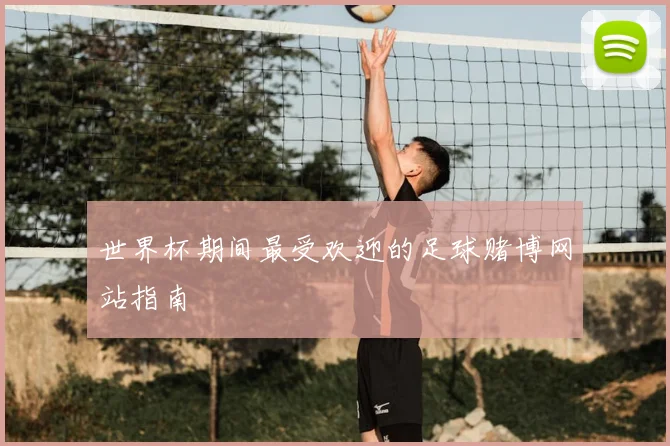世界杯期间最受欢迎的足球赌博网站指南