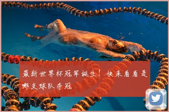 最新世界杯冠军诞生！快来看看是哪支球队夺冠