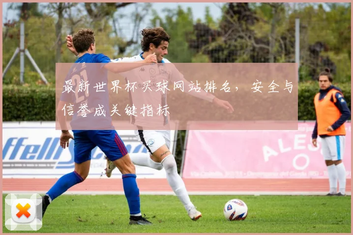 最新世界杯买球网站排名，安全与信誉成关键指标