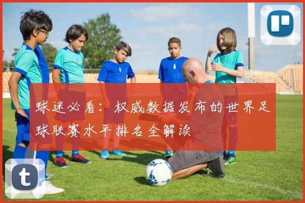 球迷必看：权威数据发布的世界足球联赛水平排名全解读