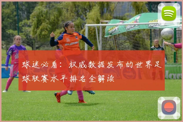 球迷必看：权威数据发布的世界足球联赛水平排名全解读