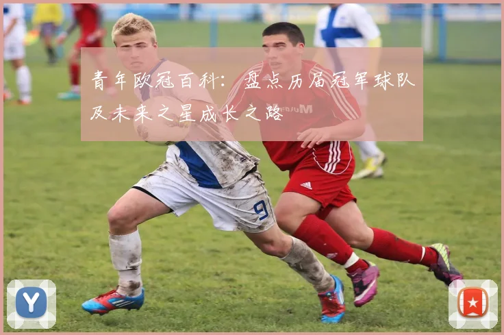 青年欧冠百科：盘点历届冠军球队及未来之星成长之路