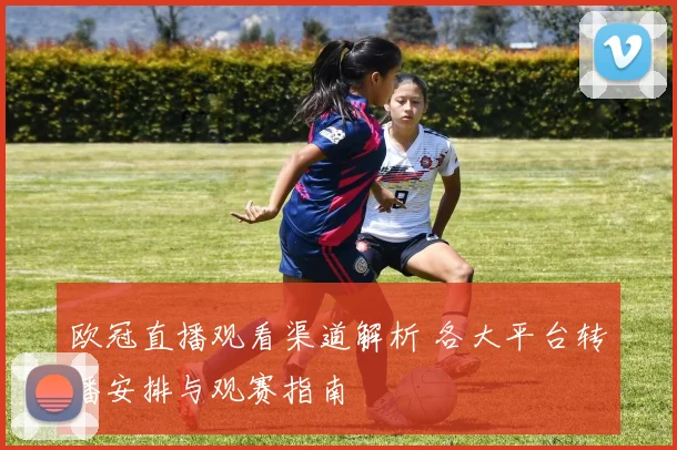 欧冠直播观看渠道解析 各大平台转播安排与观赛指南