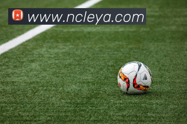 九游在线官网j9服务体系